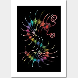 Bold Rainbow centipede Posters and Art